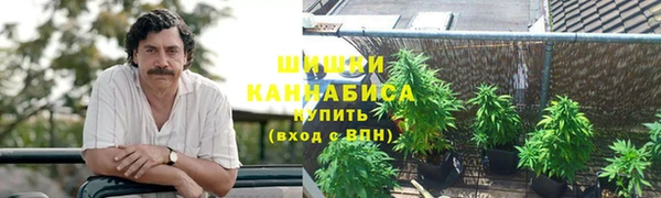 метадон Арсеньев