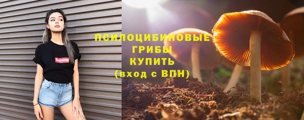 метадон Арсеньев